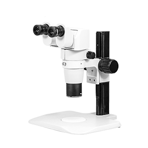 Stereo Microscope